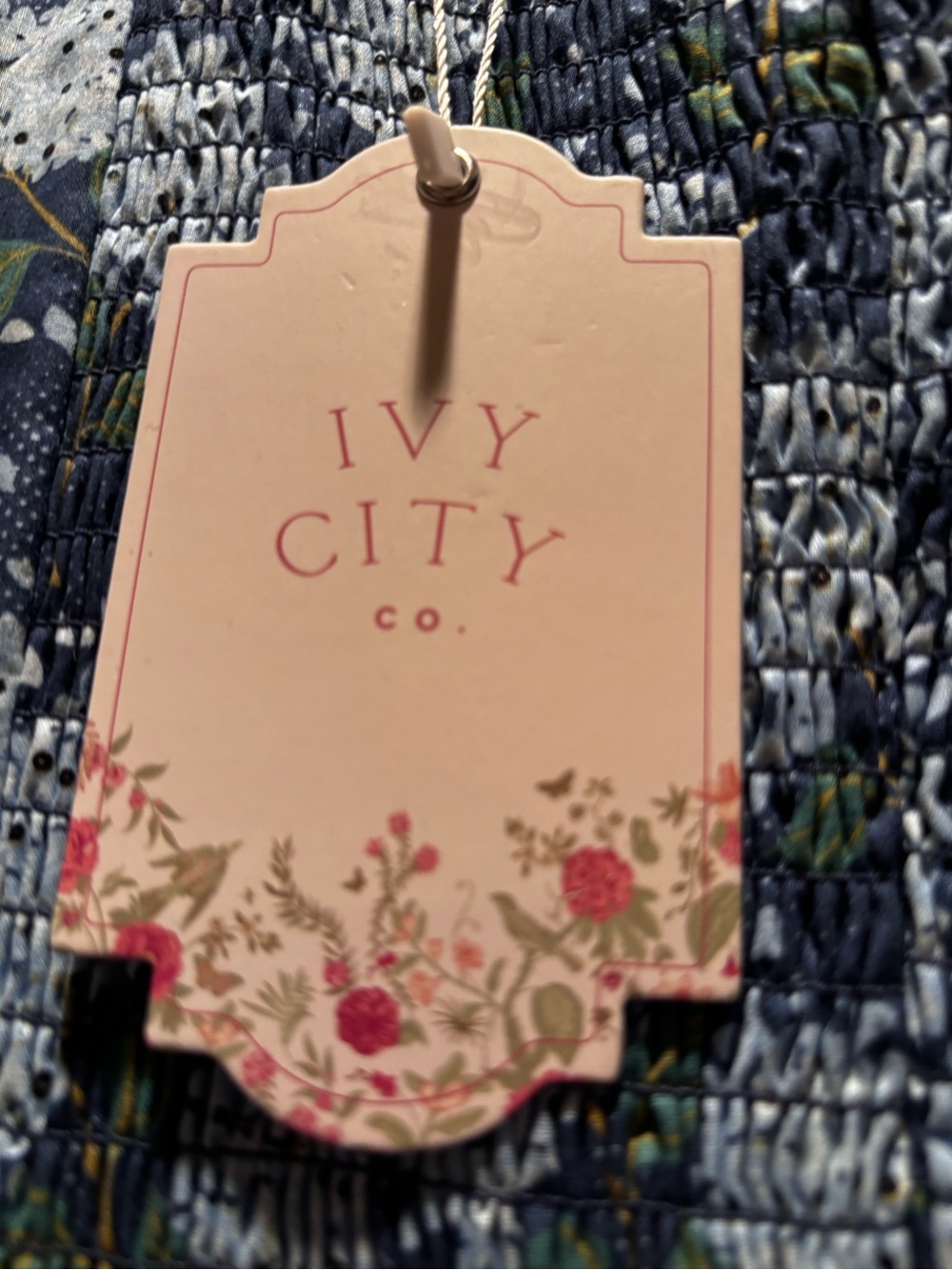 Ivy City Co Tate Dress in Blue Floral - Picture 5 of 5